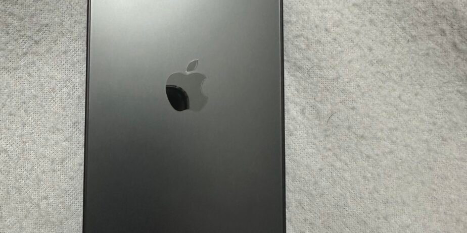 iPhone 12 Pro Max , 256 GB , 89% battery , LLA
